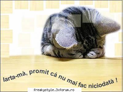 Site-uri cool. - Pai site-ul tau e cel mai calumea:d - Calculatoare si internet