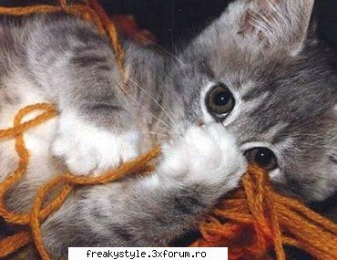 You about me - Atata timp cat esti un bebe mic si dulce cum pot - Oamenii de pe forum